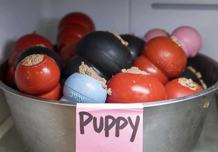 A bowl full of Kongs stuffed with dog food