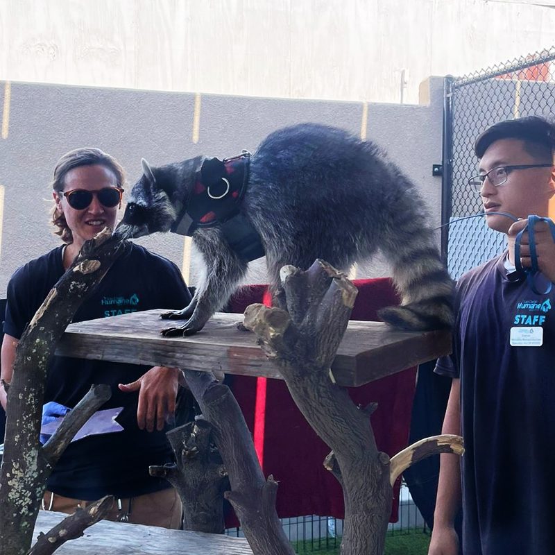 Pw Speaking Engagement Preview