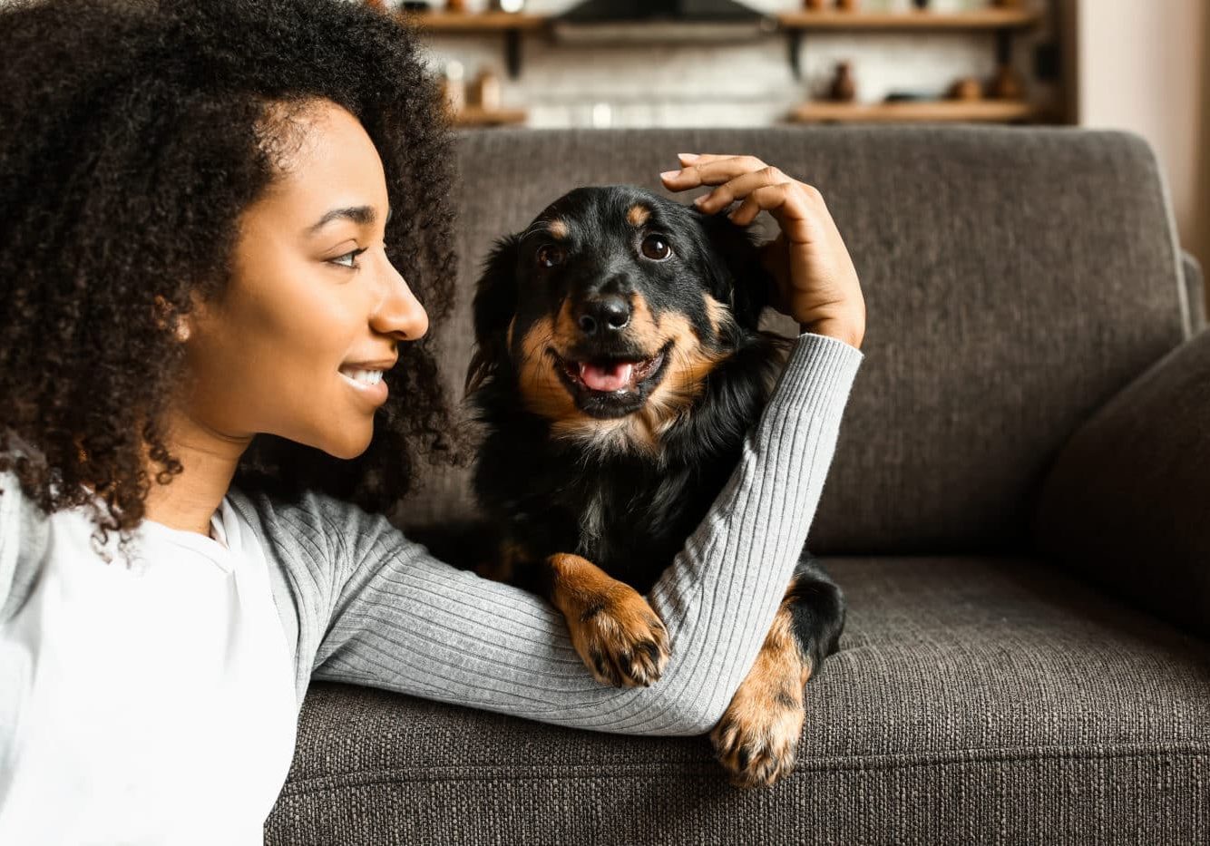 Shutterstock 1359893087