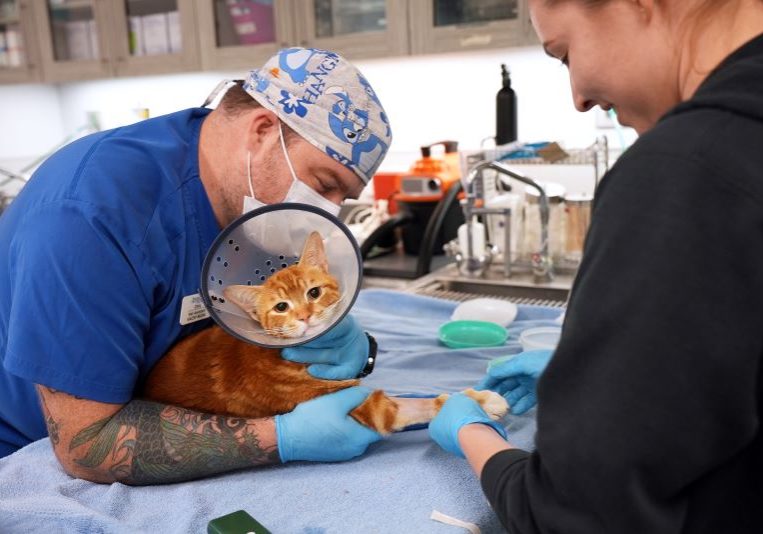 Staying At Zero Image 3